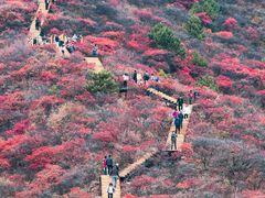 -水峪民俗村
