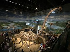 -自贡恐龙博物馆