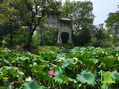 -西溪国家湿地公园