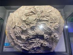 -鄂尔多斯博物馆