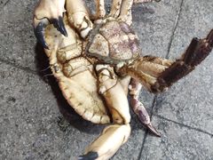 -聚德福海鲜家常菜(刘庄店)