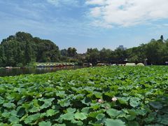 -灯盏窝饭店(新都分店)