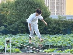 -海合安武汉极地海洋公园