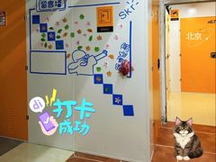 -猫库迷你自助仓储寄存仓库(丽泽桥店)