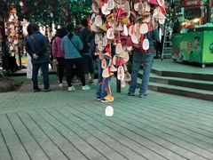 -呀诺达热带雨林