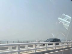 -演武大桥观景平台