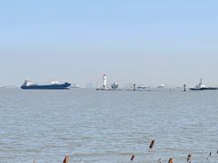 -上海吴淞炮台湾国家湿地公园