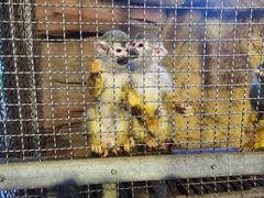 -成都浩海立方海洋公园