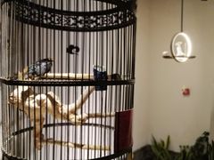 -清真·京华源铜锅涮肉(丰庆店)