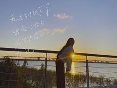 -南汇嘴观海公园