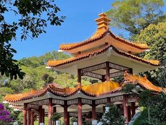 -深圳仙湖植物园