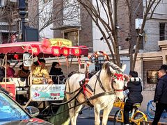 -天津五大道文化旅游区