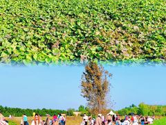 -汉长安城未央宫国家考古遗址公园