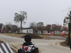 -武汉紫薇都市田园