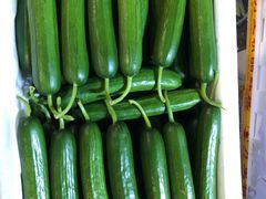 -江杨农产品批发市场