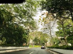 -云溪植物园