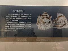 -九江市博物馆