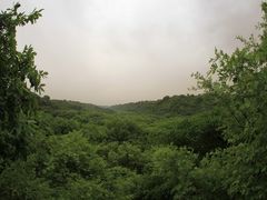 -大青沟风景区
