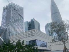 -深圳湾万象城(南山店)