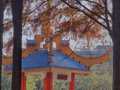 -金砂公园