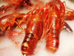 -休记光头香辣蟹干锅店(衣冠庙店)