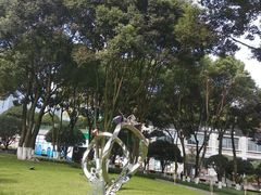 -重庆市江北嘴中央商务区中央公园