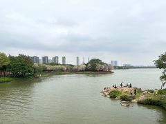 -顺峰山公园