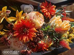 -木王宴语·野生鲜菌火锅(玉河店)
