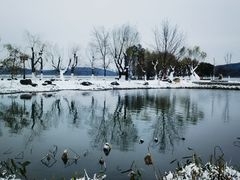 -东湖听涛景区