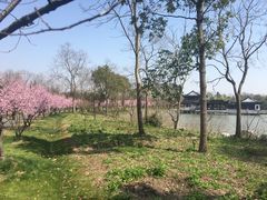 -上海海湾国家森林公园