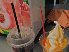 -西双版纳原始森林公园