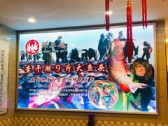 -邵年鸽(杨庄店)