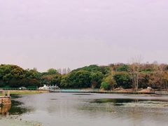 -月湖风景区