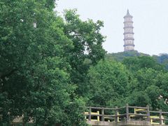 -巢湖姥山岛