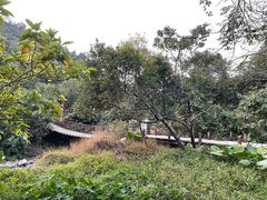 -梧桐山风景名胜区