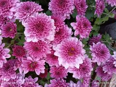 -螃蟹岬(地铁站)