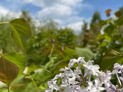 -野鸭湖国家湿地公园