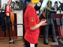 -温鉴良实用咏春拳