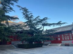 -北京艺术博物馆(万寿寺)