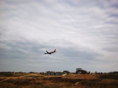 -空港花田景区