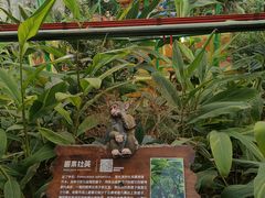 -南宫五洲植物乐园