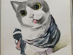 -黑骏画室·深圳美术中高考黄埔军校