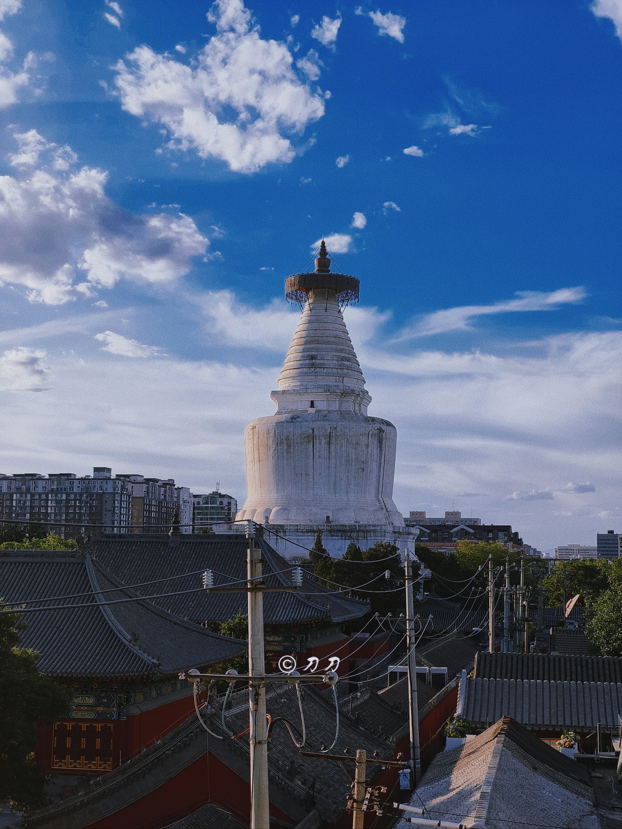 北京白塔寺舍利子图片