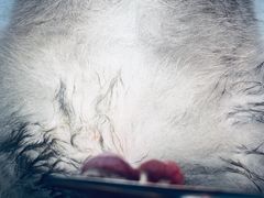 -百信宠物医院(东升街店)