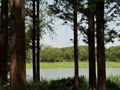 -云龙湖旅游景区