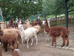 -西安秦岭野生动物园