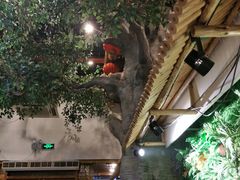 -篱笆院东北饺子王(欧阳路店)