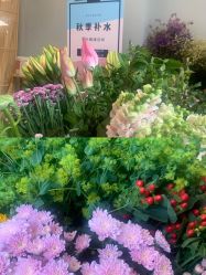 -摩睫+皮肤管理·科学美容中心