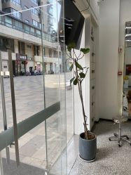 -I+造型烫发染发