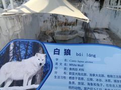 -大连森林动物园
